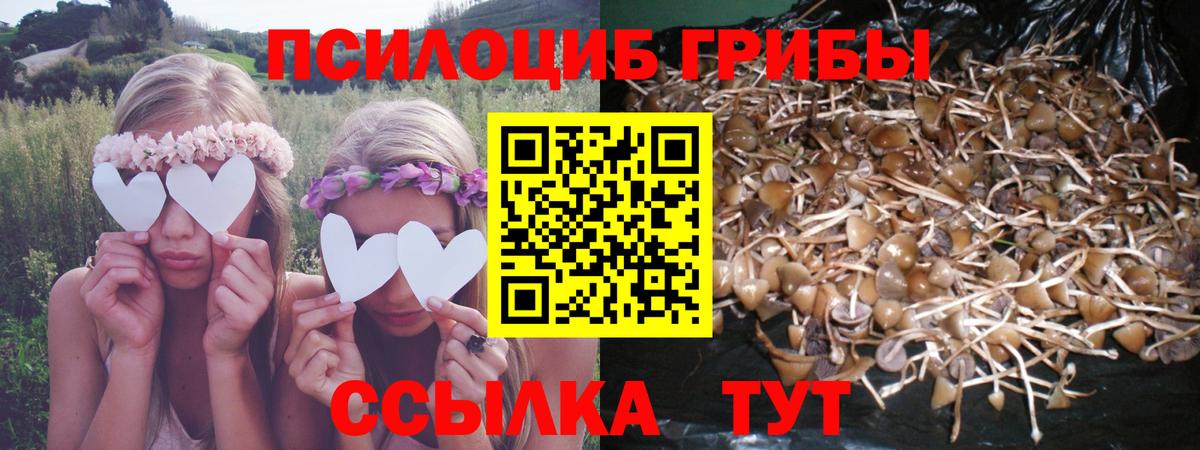 Дубна  Псилоцибиновые грибы GOLDEN TEACHER  Вход с VPN 
